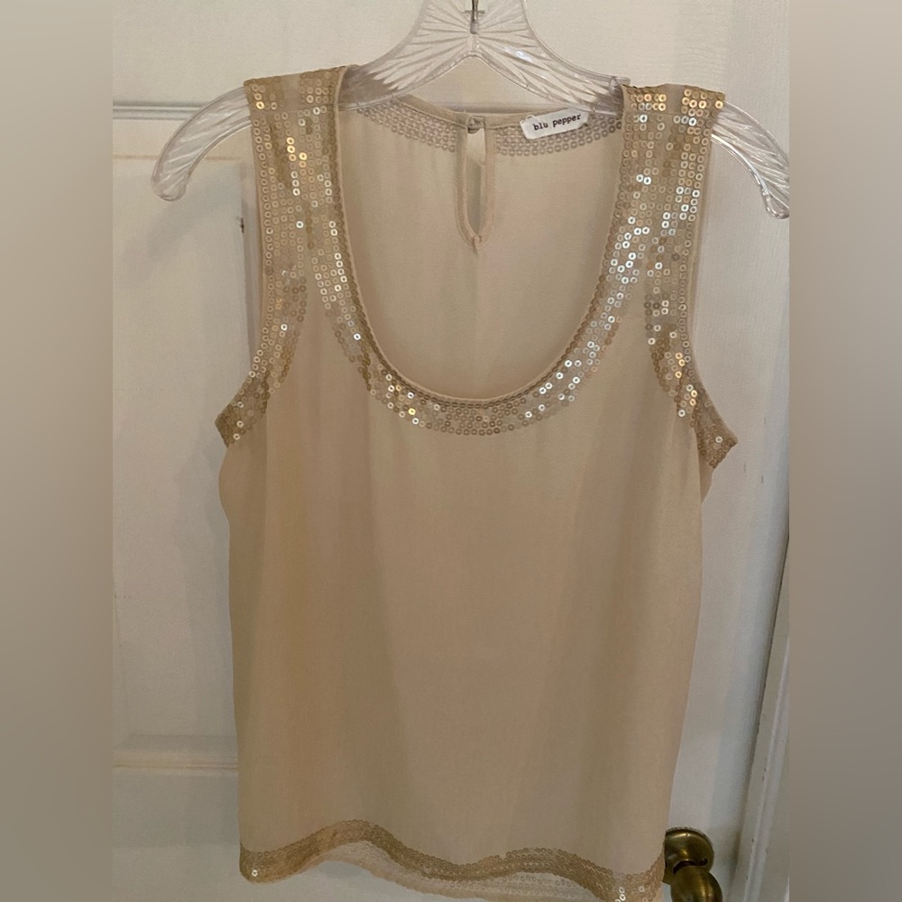 blu pepper sheer top with sequins